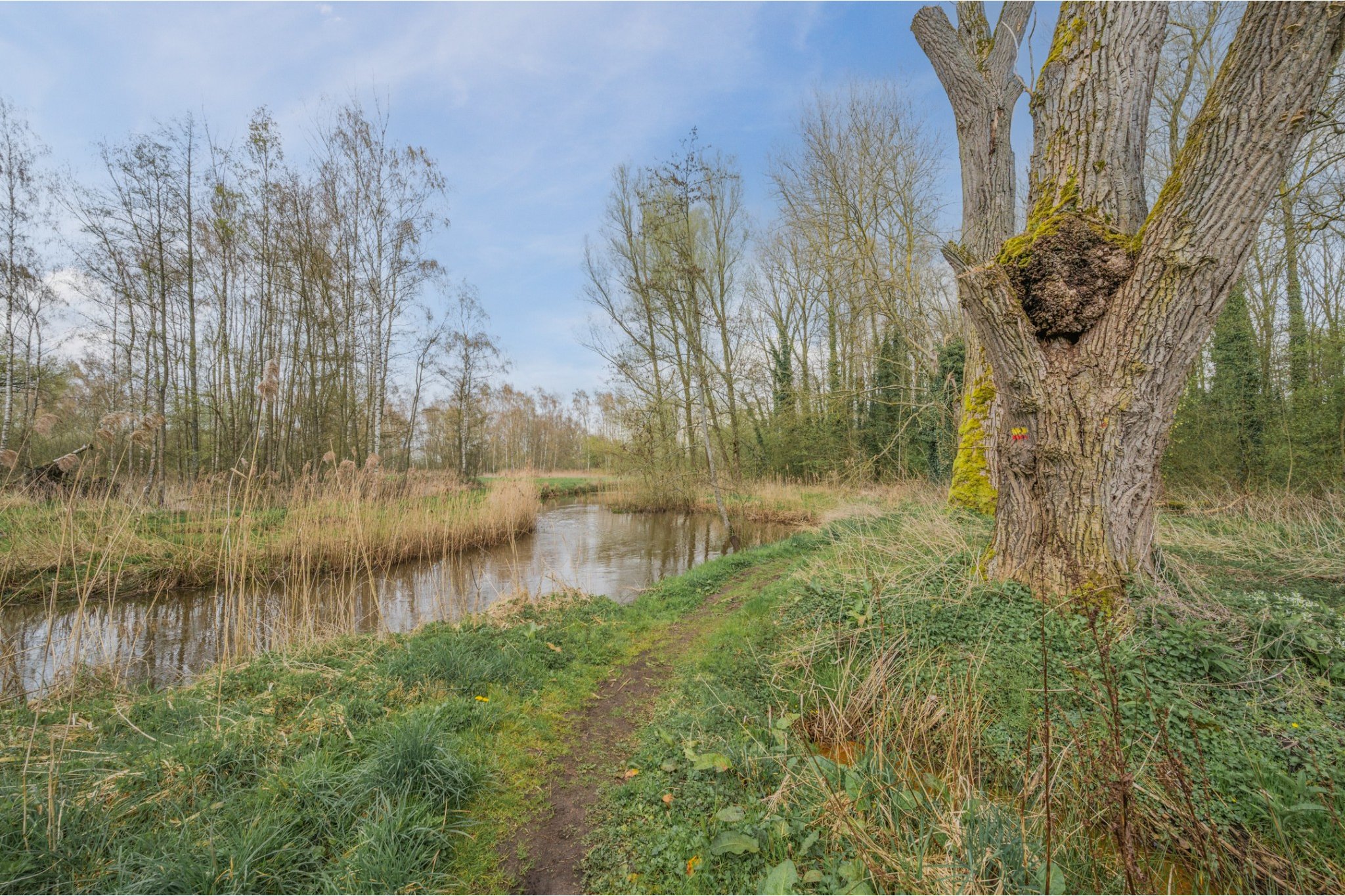 de Lammert 1, Geldrop