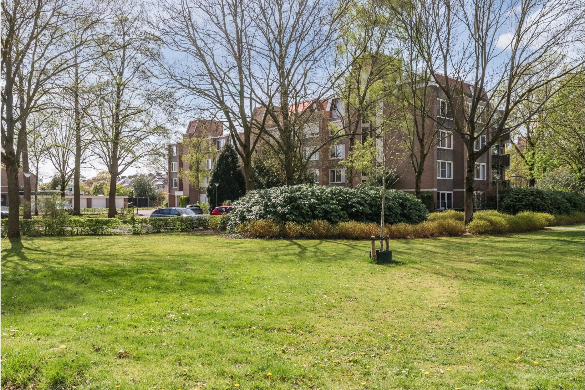 Schepenenstraat 53, Geldrop