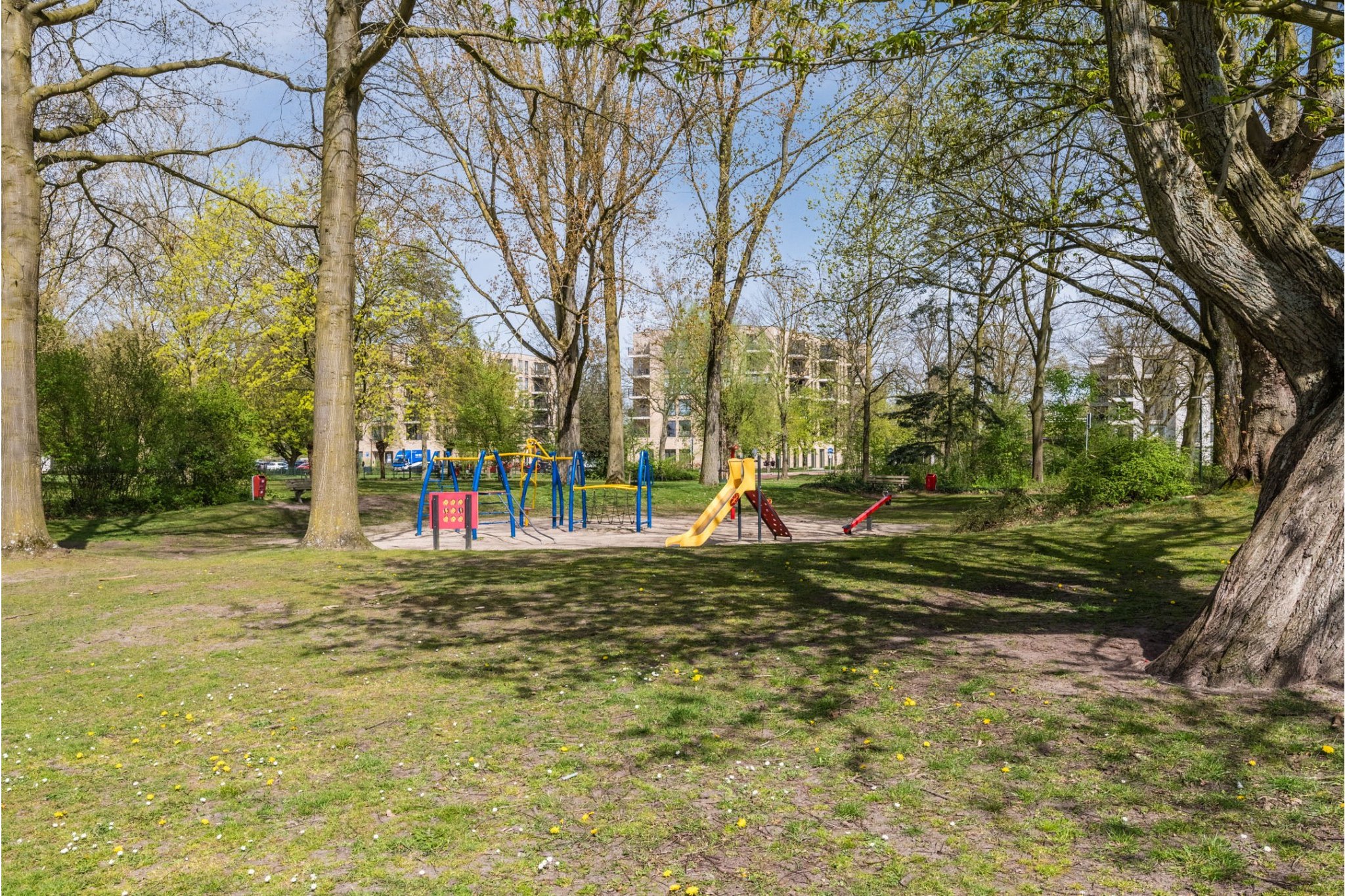 Schepenenstraat 53, Geldrop