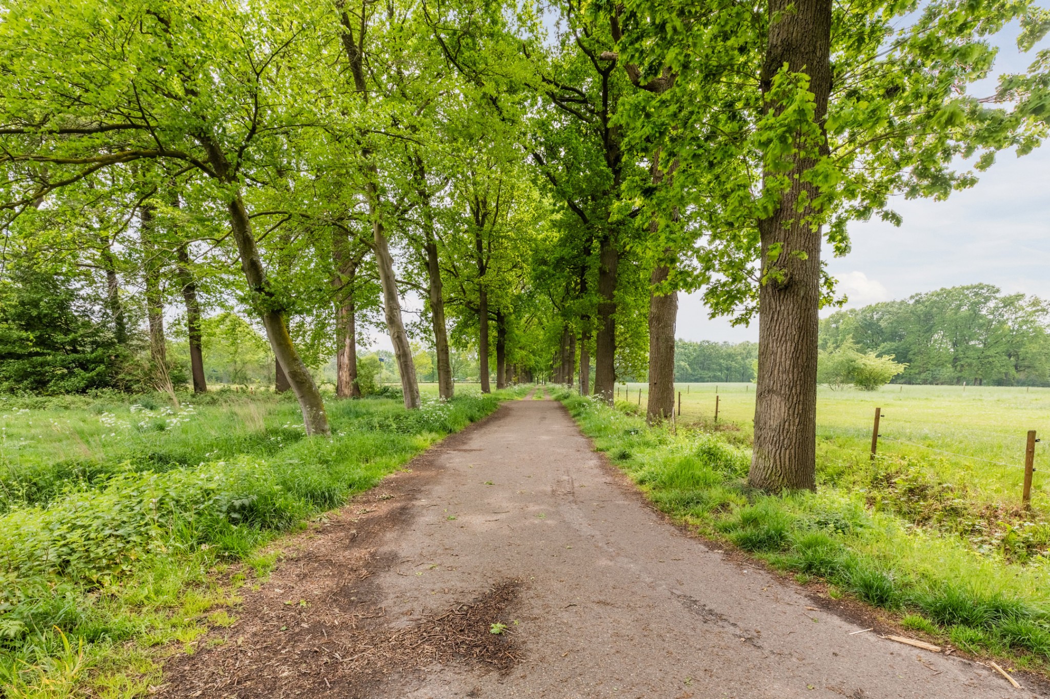 Mackenziestraat 19, Geldrop