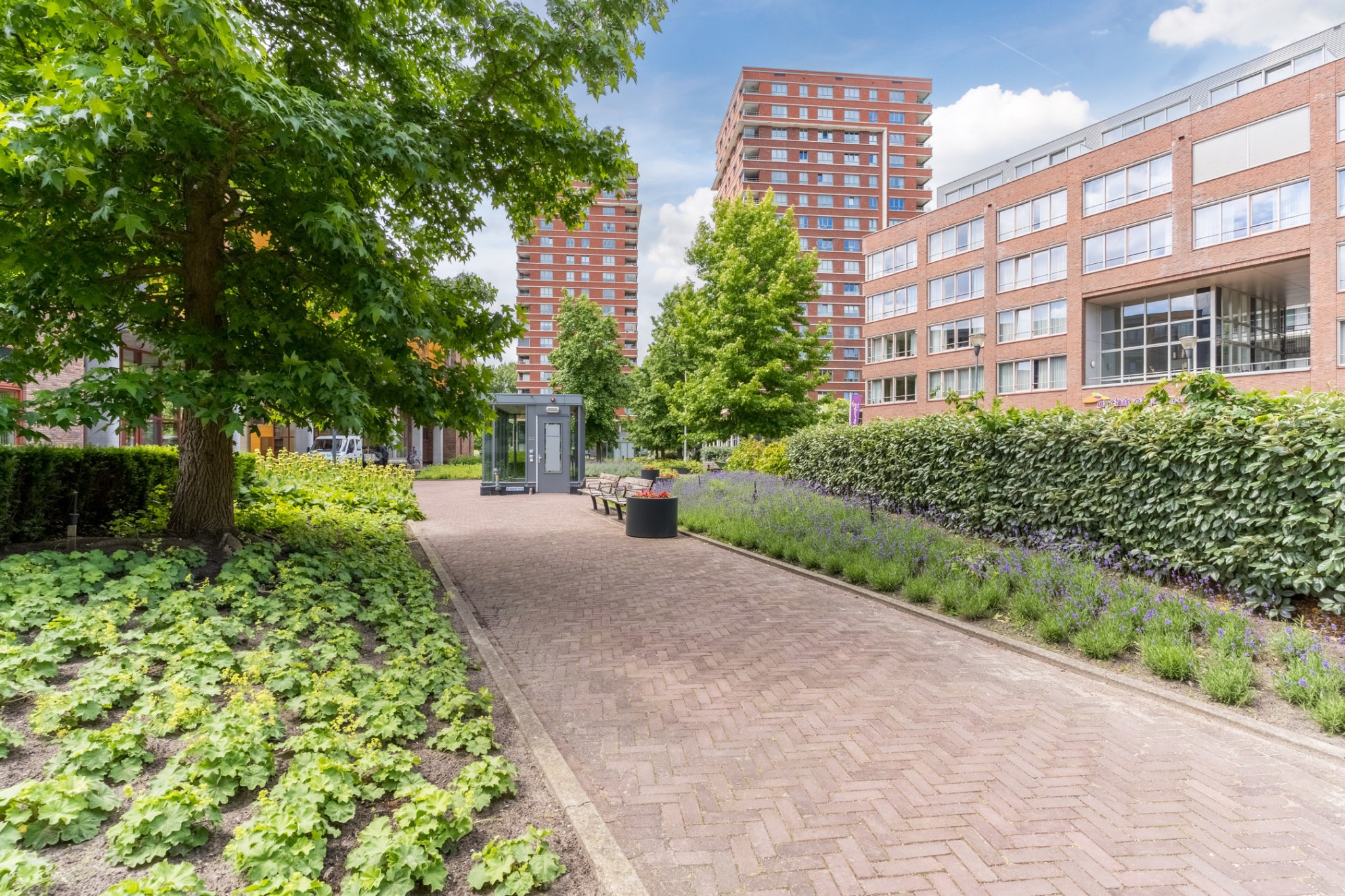 Tinelstraat 186, Eindhoven